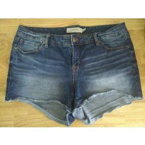 Torrid  Medium Wash Jean Shorts